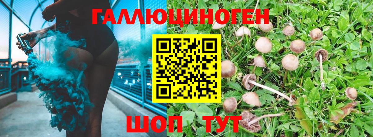 Гудермес  Псилоцибиновые грибы мицелий  Вход с VPN  Псилоцибиновые грибы Magic Shrooms 